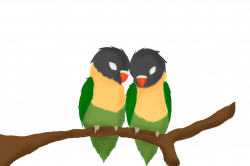 Love Birds by Anime-wolfz on DeviantArt
