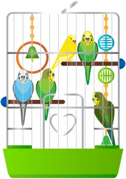 cage with parrots png - Free PNG Images | TOPpng