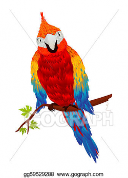 Clip Art - Starring parrot. Stock Illustration gg59529288 ...
