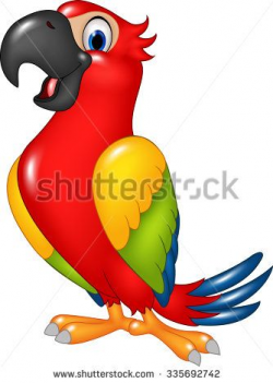 Cartoon funny parrot isolated on white background - stock ...