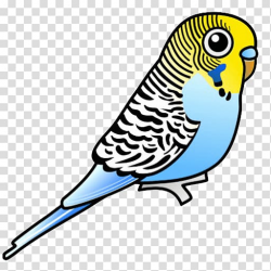 Budgerigar Parrot Bird Parakeet , parrot transparent ...