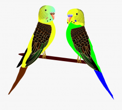 Animals, Art, Birds, Feathers, Parakeet, Parrots - Clip Art ...