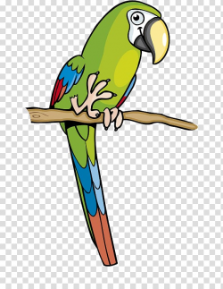 Amazon parrot Macaw Parakeet , Cartoon parrot green ...