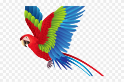 Flying Parrot Clipart - Parrot Clipart - Free Transparent ...