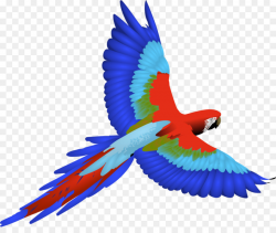Bird Parrot clipart - Bird, Parrot, Wing, transparent clip art