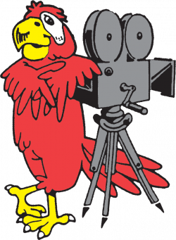 About Parrot - Parrot Film