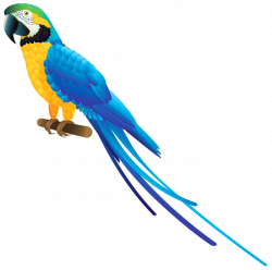 Parrot Images Hd Png | Siewalls.co
