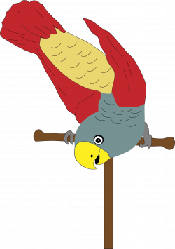 Clipart - Colorful Parrot On Perch
