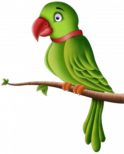 Parrot Bird Clip art - parrot 1280*1600 transprent Png Free Download ...