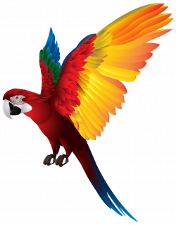 Largest Collection of Free-to-Edit macaw Stickers on PicsArt