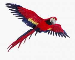 Parrot Clipart Picsart Png - Flying Parrot Png #335682 ...