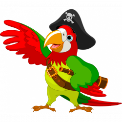 Coco the pirate stickers, parrot sticker, pirate parrot adhesive ...