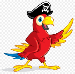 Pirate Cartoon clipart - Parrot, Chicken, Bird, transparent ...