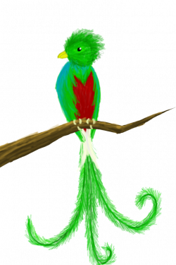 Quetzal by RKayDee on DeviantArt