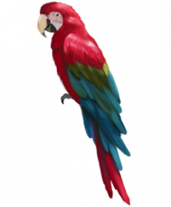 Free Parrot Cliparts, Download Free Clip Art, Free Clip Art ...