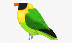 Pet Clipart Yellow Bird - Realistic Parrot Clip Art ...