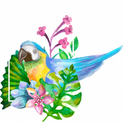 Parrot Drawing Watercolor painting - Drawing realistic aesthetic ...