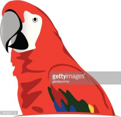 red parrot Clipart Image | +1,566,198 clip arts