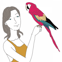 Parrot Dream Meaning: Interpret Now! - Auntyflo.com
