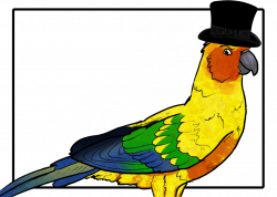 Conure with a hat by ChippedBeak on DeviantArt