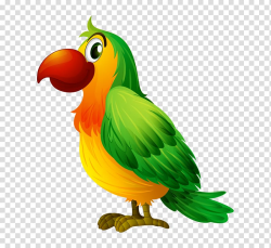 Bird Parrot Illustration, Cartoon hand colored parrot side ...