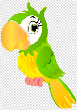 Green and yellow parrot illustration, Parrot Bird , Parrot ...