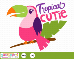 Parrot clipart, Summer tropical bird digital art, instant download