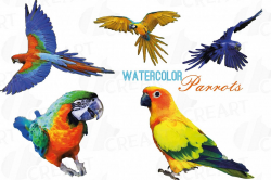 Watercolor Parrots clip art collection, colorful tropical
