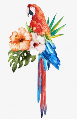Parrot Watercolor Flowers, Parrot Clipart, Watercolor ...