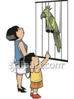People At a Zoo Looking At a Parrot - Royalty Free Clipart ...