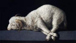 The Passover Lamb - Kehilat Sar Shalom
