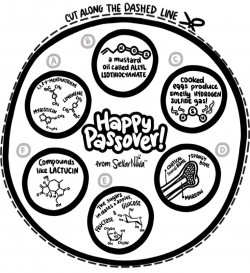 Science Seder Plate | Make Your Own Passover Haggadah ...