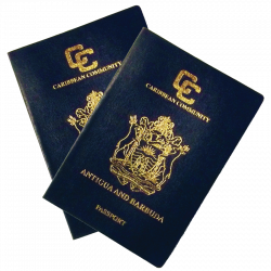 Passport PNG images free download