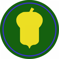 87th Infantry Division (United States) - Wikipedia