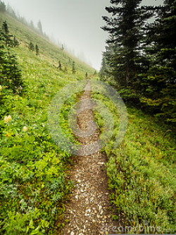 Straight And Narrow Path Clipart | Free Images at Clker.com ...