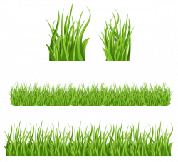 Gallery - Grass Grounds Coverings PNG Clipart