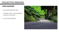 Cameron valley tea house 1 site analysis
