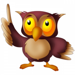 Owl-Cartoon-Image_5.png (600×600) | adorable owls | Pinterest | Owl