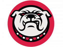 College Football Promotion and Relegation Revisited - Dawg Sports