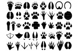 31 Animal Paw SVG, Paw Prints SVG Files for Silhouette Cameo ...
