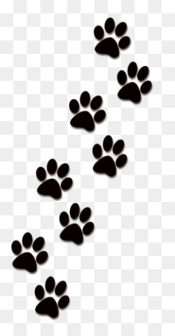 Creative Paw Prints, Paw Clipart, Animal #44363 - PNG Images ...