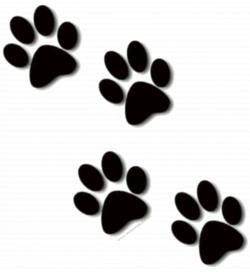 Background Clipart Paw Print Free collection | Download and share ...