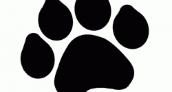 Bear Paw Clipart | Free download best Bear Paw Clipart on ...
