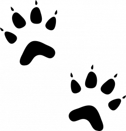 Cat Paw Prints Rubber Stamp | Animal Tracks | Dog, Cat & Fur Baby ...