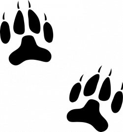 Dog Paw Prints Stamp | Animal Track Stamp | Dog, Cat & Fur Baby ...