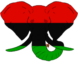 African Elephant (African Flag) Designed by P.A.W. http://pawtees ...