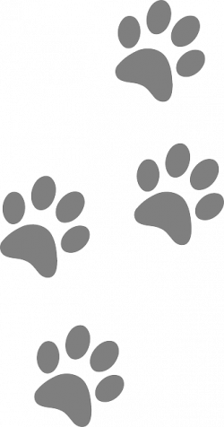 Free Image on Pixabay - Footprints, Animal, Dog, Paw, Cat ...