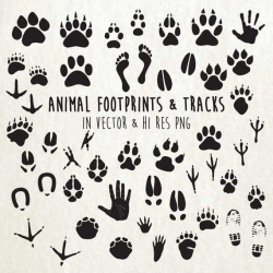 Animal Paw Print Clipart, Animal Tracks Clipart, Animal ...
