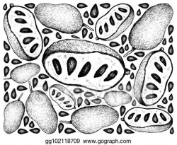 Clip Art Vector - Hand drawn background of fresh paw paw ...