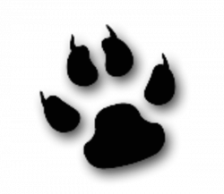 Cool Cat Animal Paw | Free Images at Clker.com - vector clip art ...